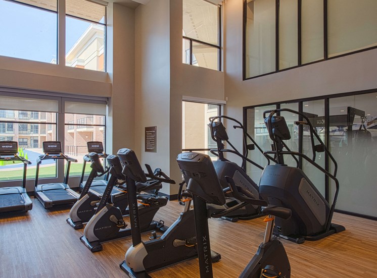 gym with rows of treadmills, ellipticals, and exercise bike